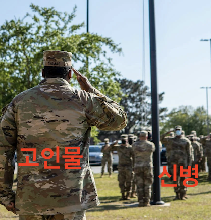 뉴들박 짤