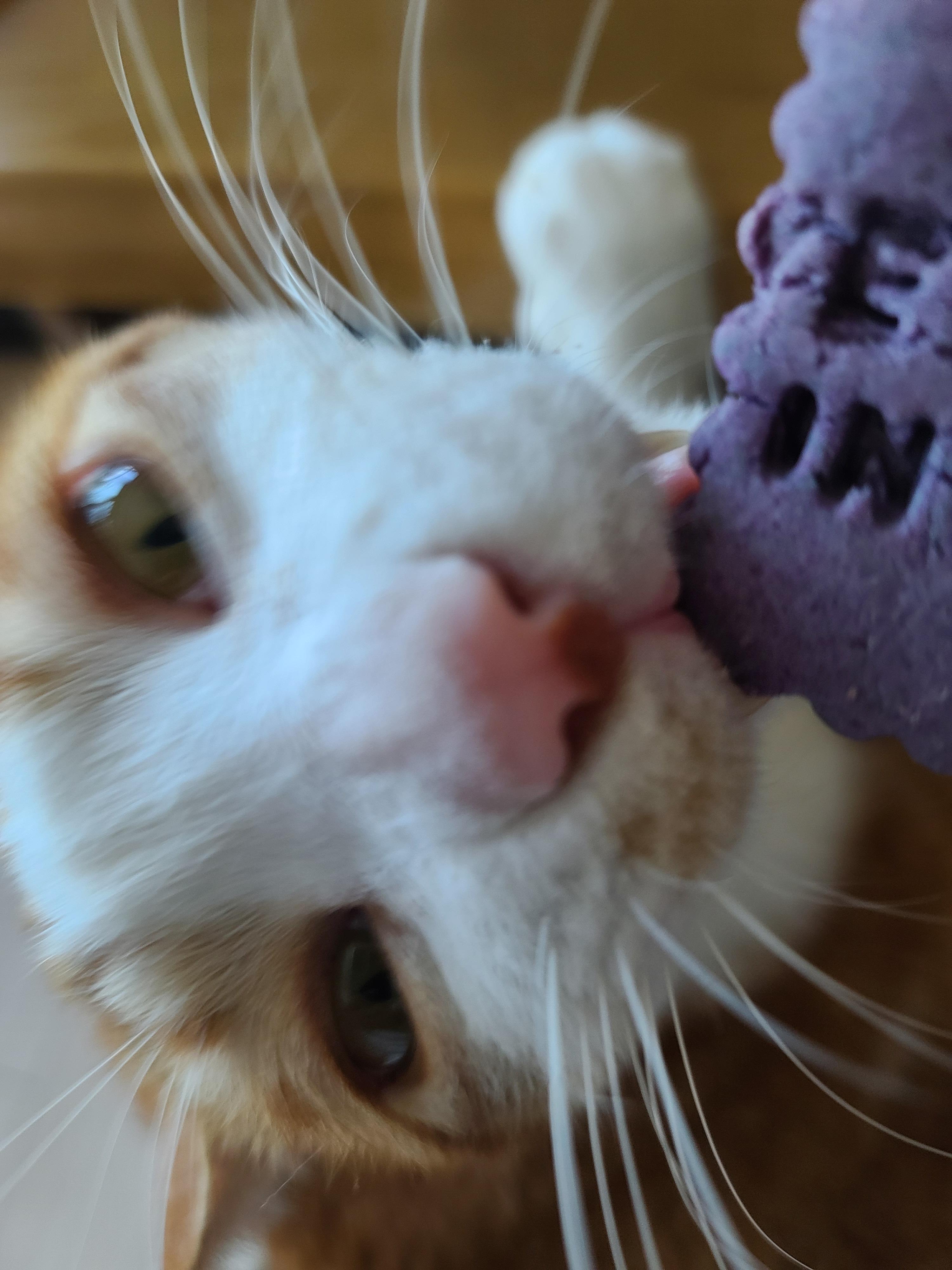 엄마손에 있는건 다 내꺼! 오랜만인 엄마랑의 오붓한 시간에 칭얼칭얼.