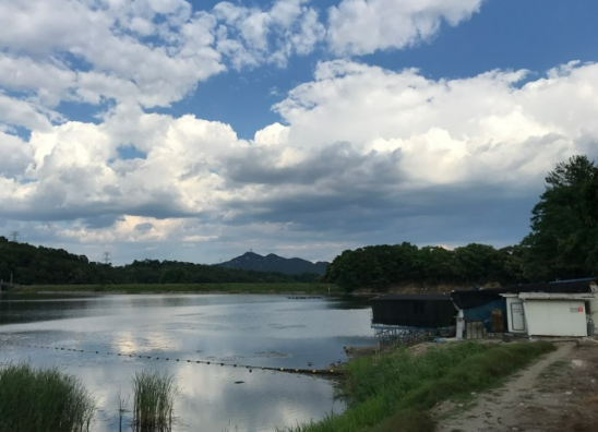 어둔리저수지-낚시터