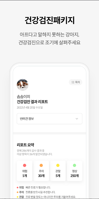 수의사와 함께하는 펫케어 슈퍼앱