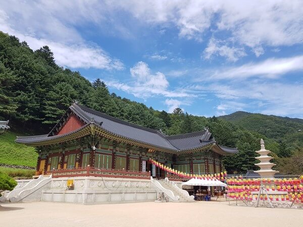 산속 은은한 종소리가 들리는 