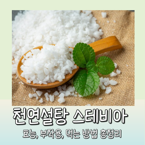 스테비아 설탕의 효능, 부작용, 먹는 방법(방울토마토, 커피믹스) 총정리