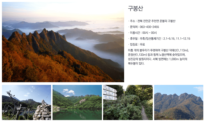 진안 꽃 잔디