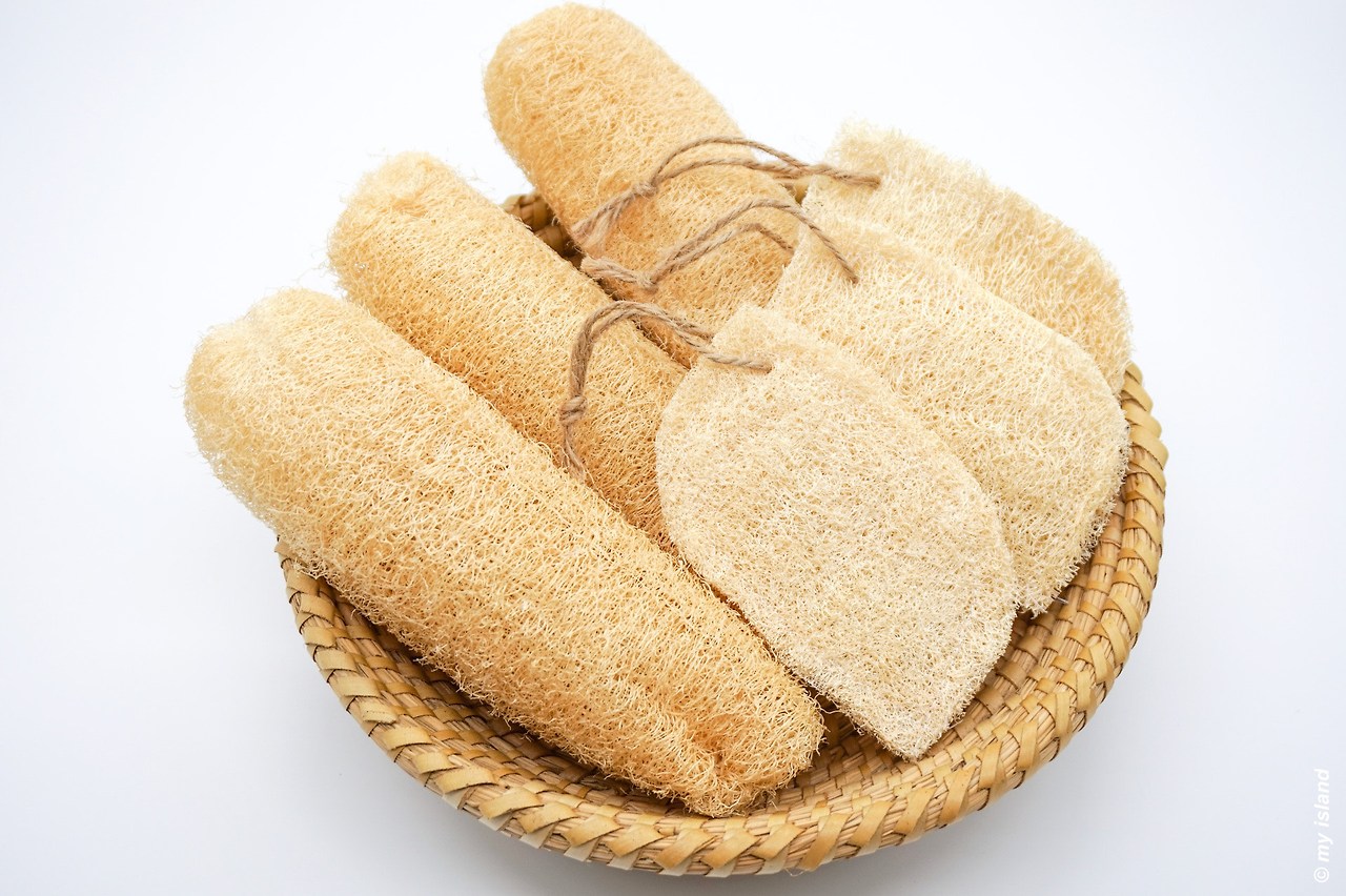 천연수세미