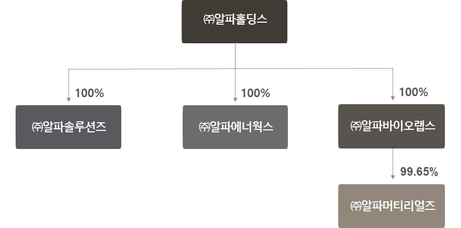 알파홀딩스의 연결 주요 법인 현황