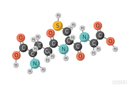 글루타티온 효능과 부작용&amp;#44; 섭취 방법