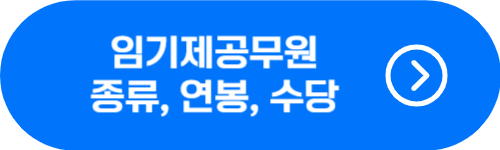 임기제 공무원 종류&#44; 직급별 연봉하한액&#44; 수당 확인 버튼