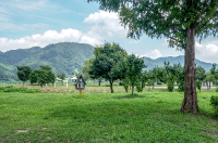 아이와 가평 가볼만한곳 추천 자라섬