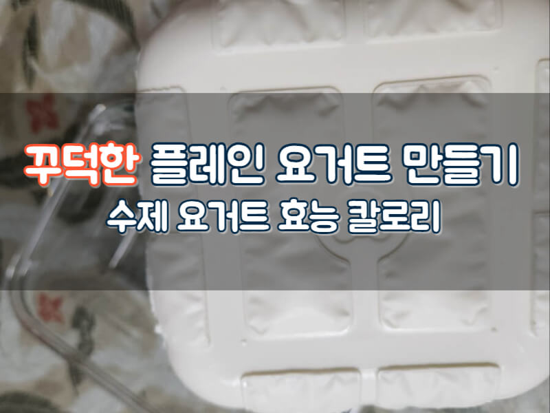 수제요거트 만들기 꾸덕한 그릭 플레인 요거트 만드는 법 효능 칼로리