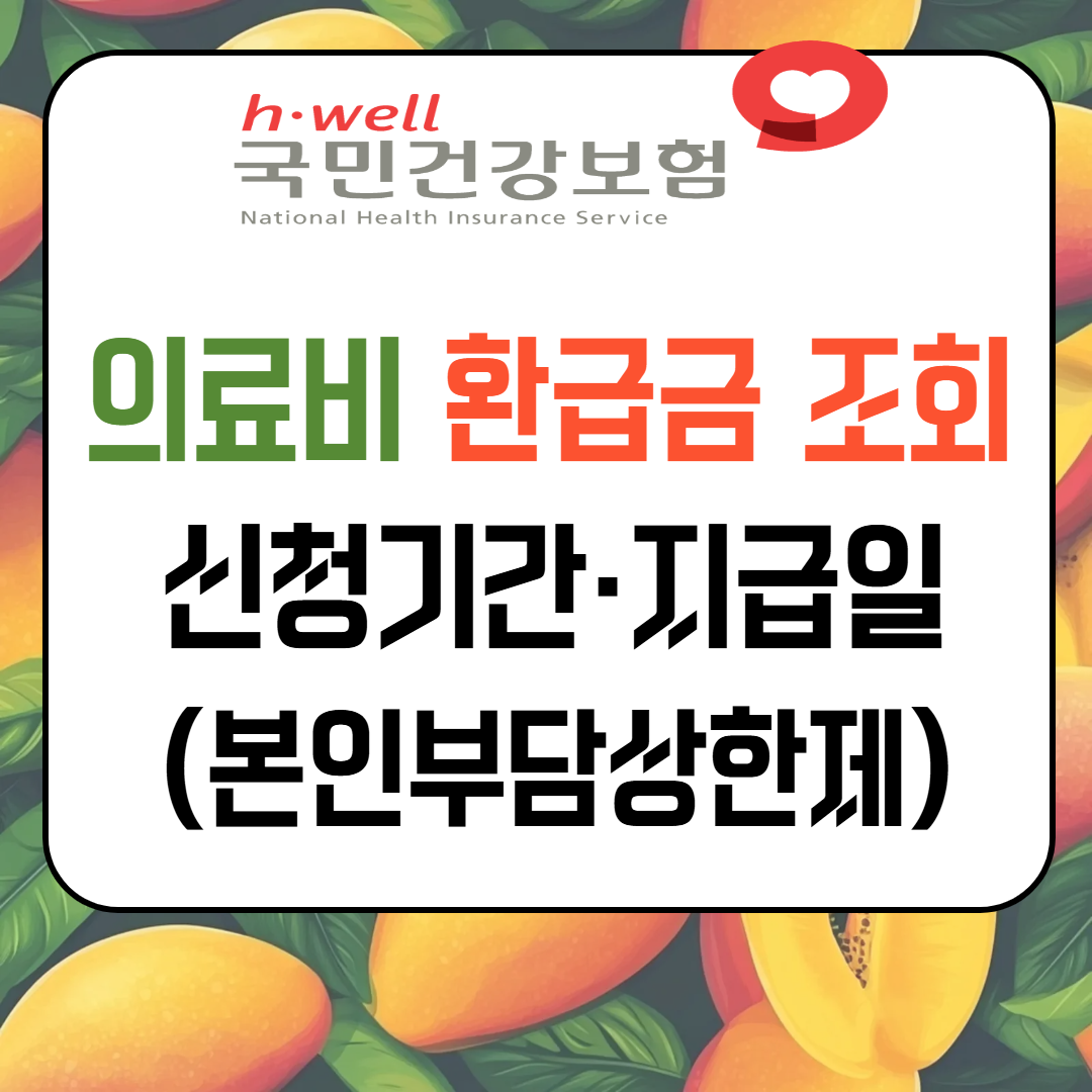 2025 의료비 환급금 조회 ❘ 신청기간·지급일 (본인부담상한제) 이미지