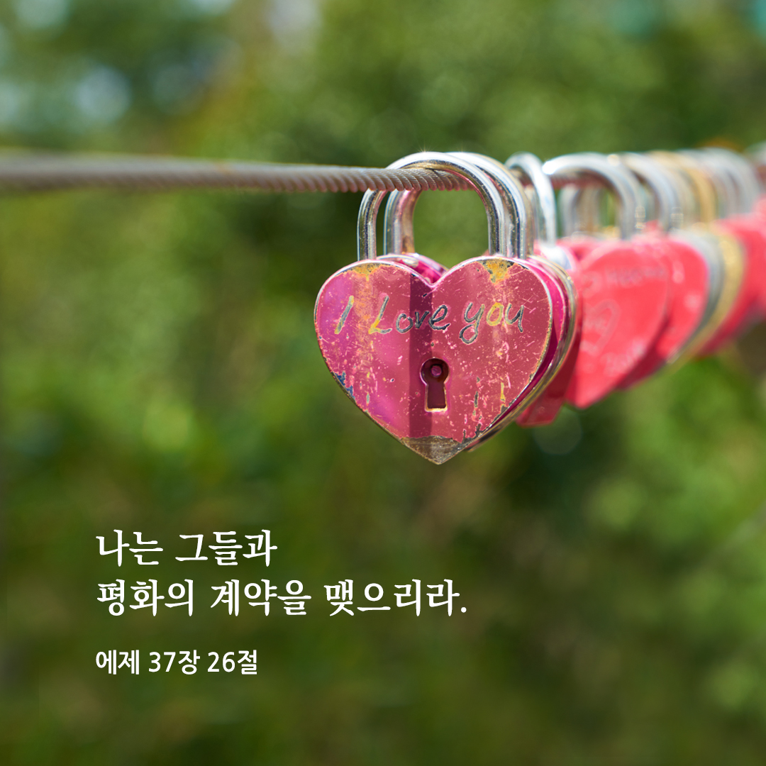 나는 그들과 평화의 계약을 맺으리라. (에제키엘서 37,26) 성경 말씀 카드 이미지