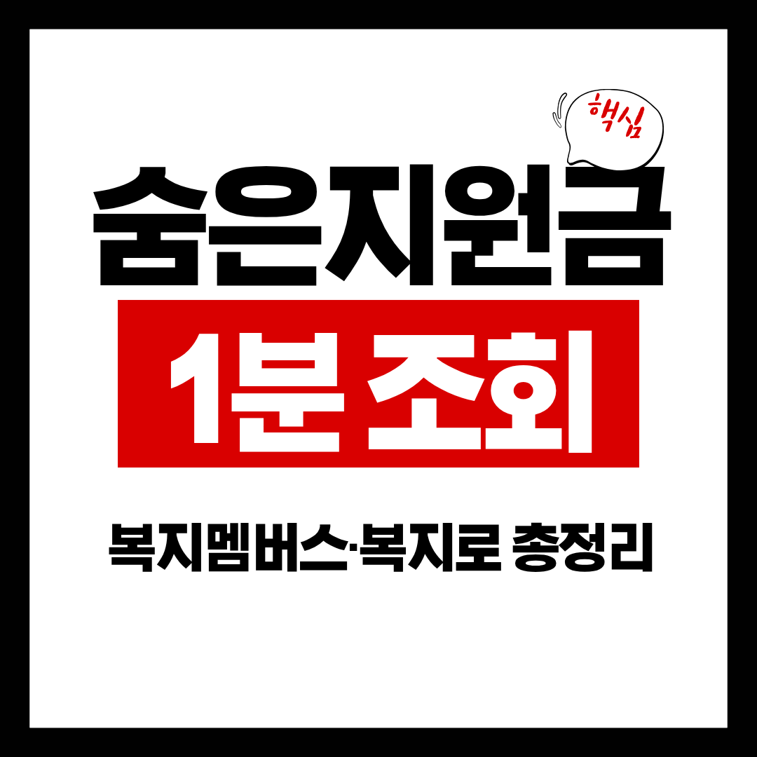 숨은 지원금 1분 조회 &mdash; 복지멤버스&middot;복지로에서 바로 확인하는 방법