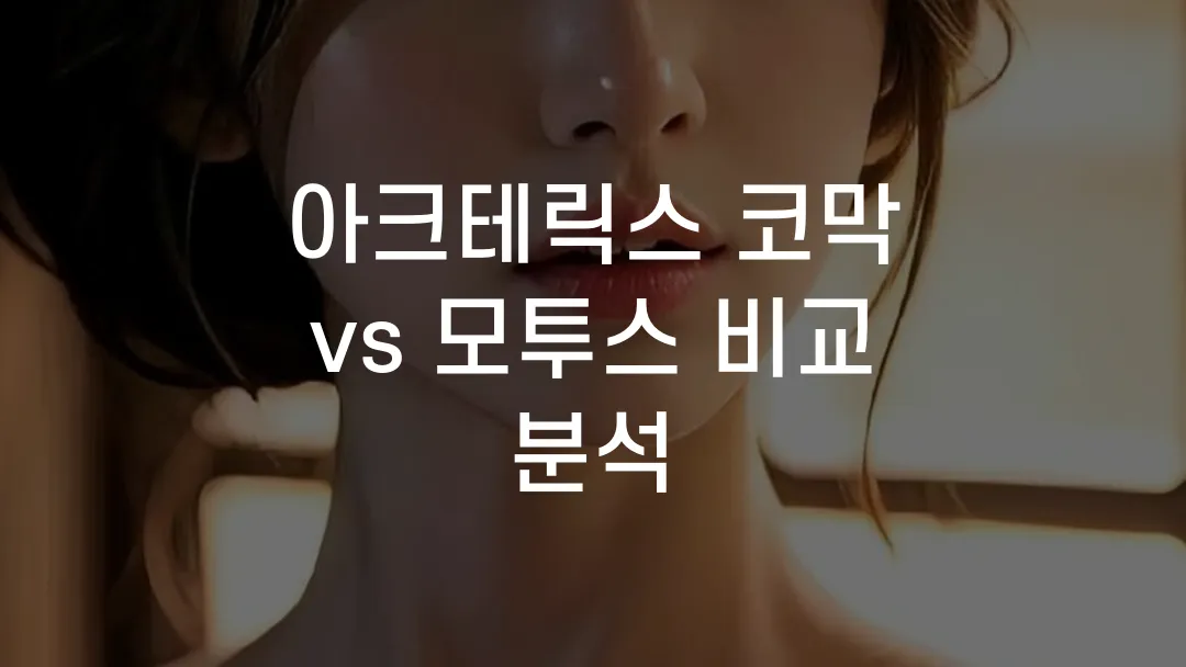 아크테릭스 코막 vs 모투스 비교 분석