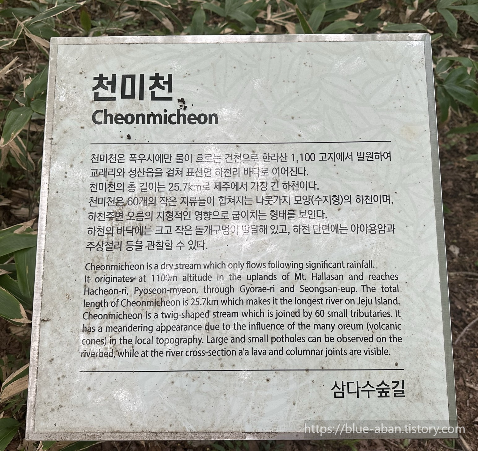 산책로