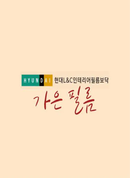 필름아트, 현대L&C인테리어필름보닥