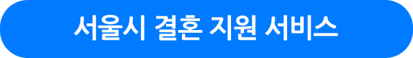 서울시 결혼 지원 서비스