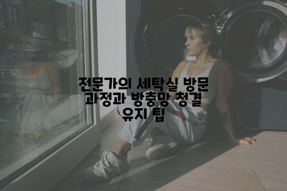 전문가의 세탁실 방문 과정과 방충망 청결 유지 팁