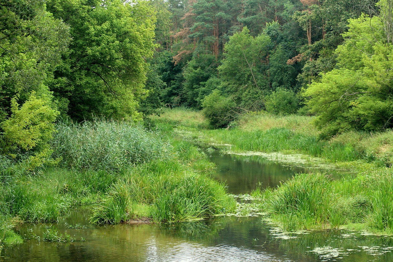 서울 근교 고요한 여행지 대체사진