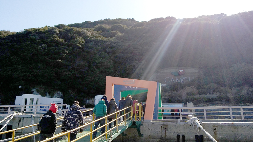 거제도 장사도 까멜리아힐