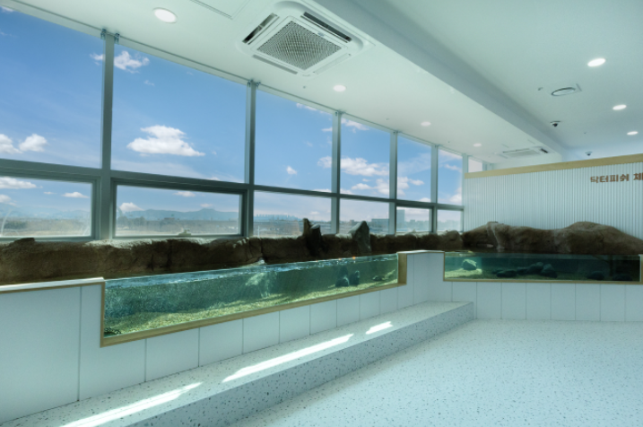 부산 명지 아쿠아 키즈카페 아쿠아플레이하우스