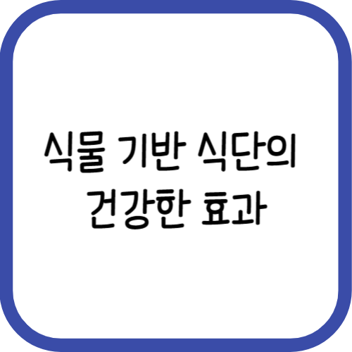 식물 기반 식단의 건강한 효과