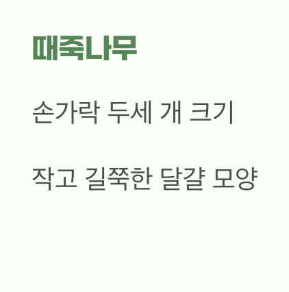 가장 확실한 단서, 잎사귀