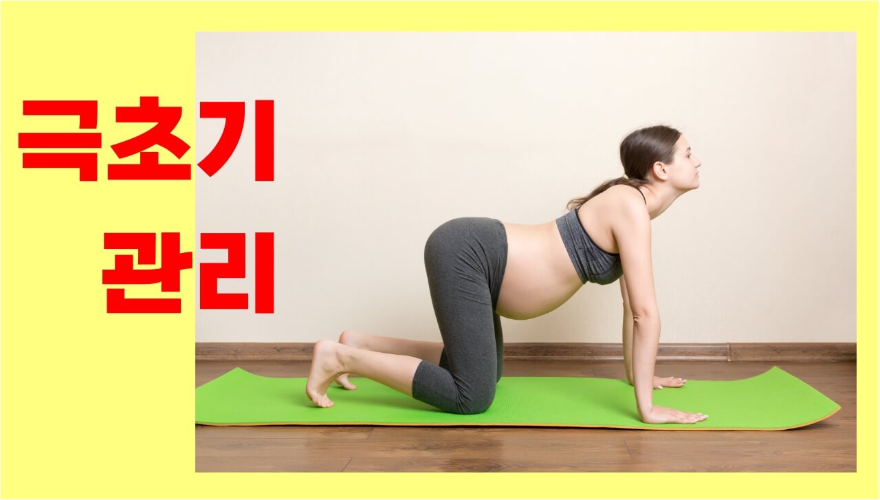 임신 극초기 관리를 위해 요가를 하는 모습