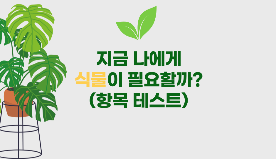 식물을키워야하는이유 재미있는심리테스트