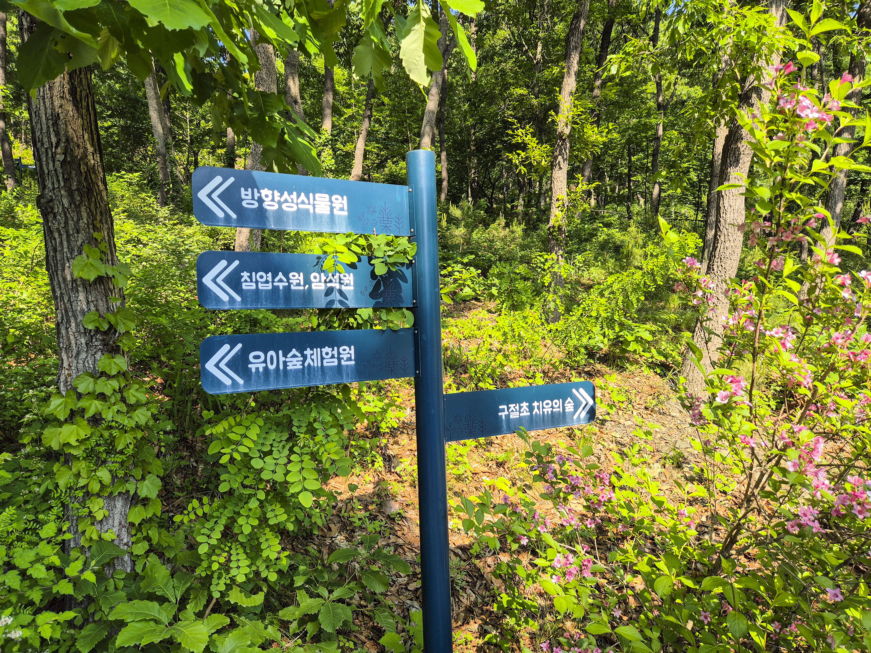 볼거리가 가득하기 때문에 약도에도 다양한 종류가 써있다.