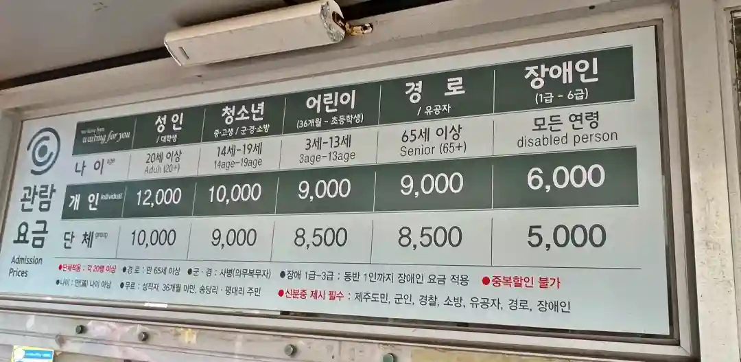 메이즈랜드 현장 관람 요금 테이블 입니다.