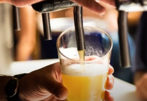 2023 부산 맥주 축제 일정, 소개