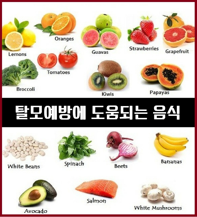 탈모예방에 도움되는 음식