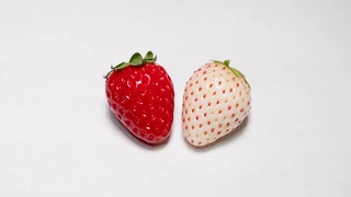 5월-제철음식-딸기