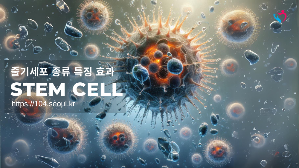 줄기세포 종류 특징 효과