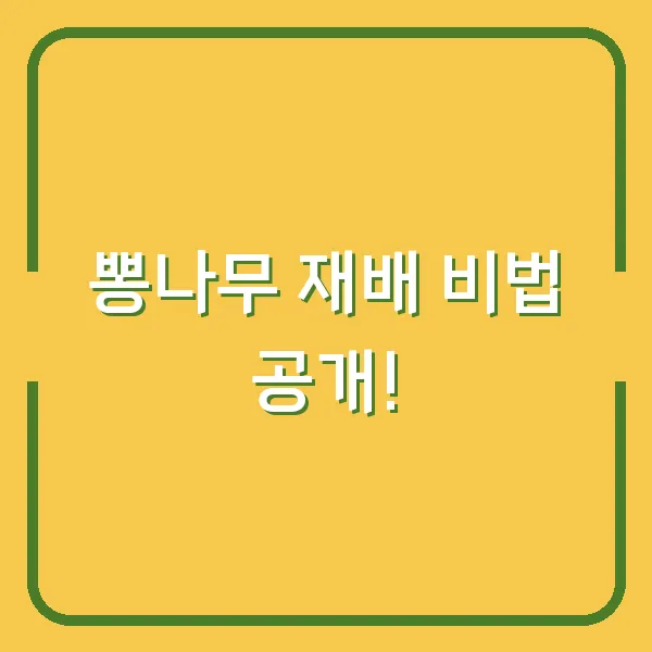 1월 나트랑 퓨전리조트 가족여행 경험담