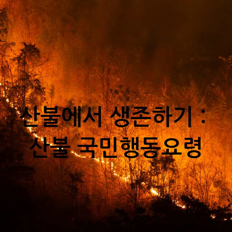 산불 국민행동요령