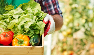 농식품바우처 신청