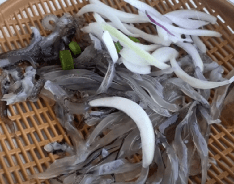 속초 오징어난전