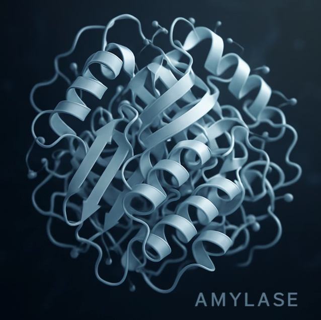 우리 몸의 특수 가위, 효소