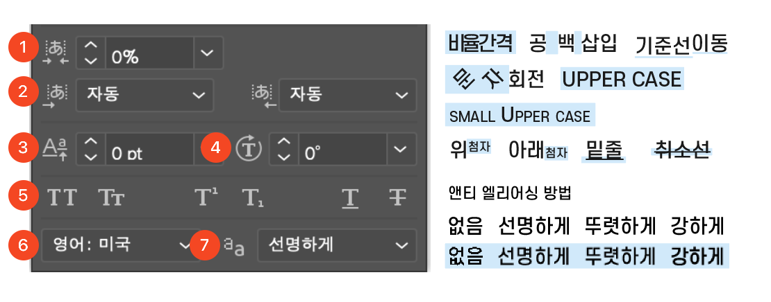 문자 패널 옵션 표시