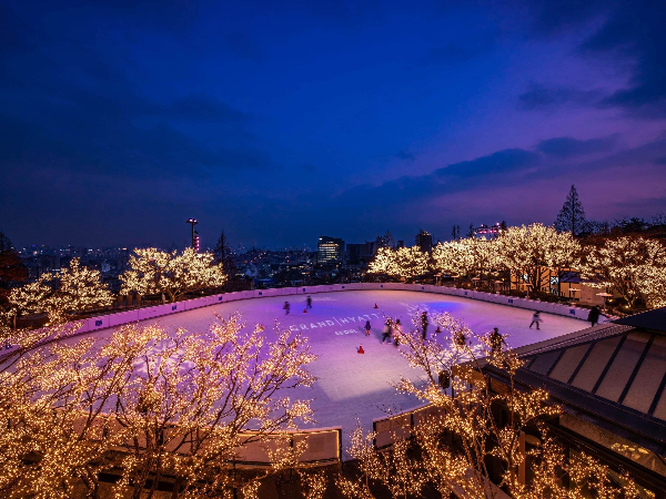 그랜드하얏트서울 아이스링크