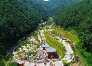 자연휴양림 BEST 5 2023년 신축