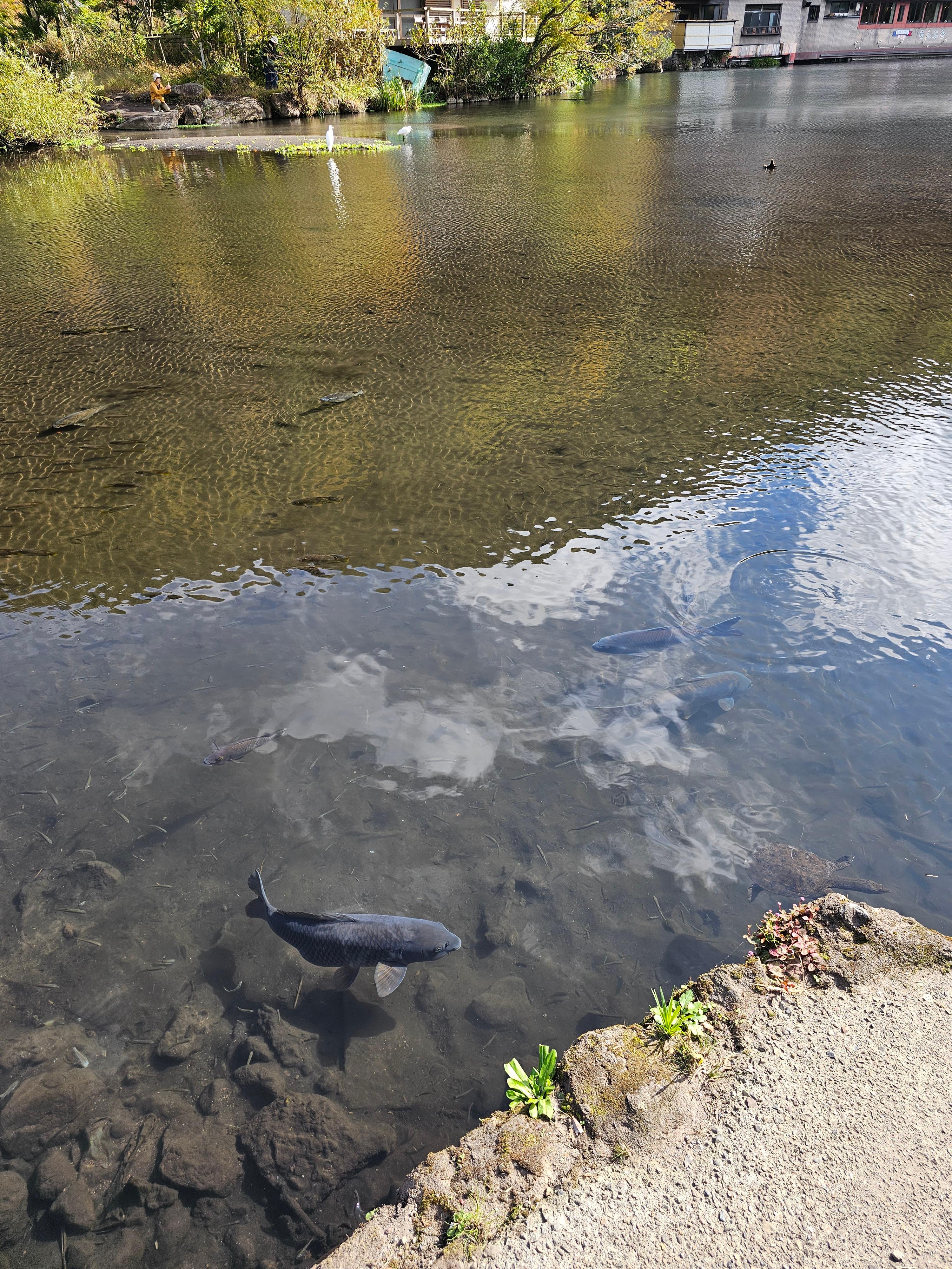 일본 유후인 사진여행후기
