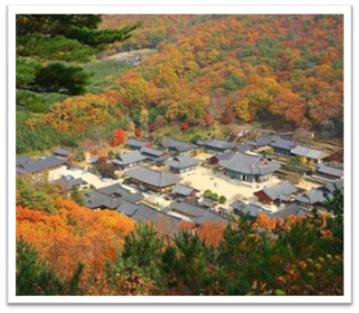 전라도 가을 여행지 추천9