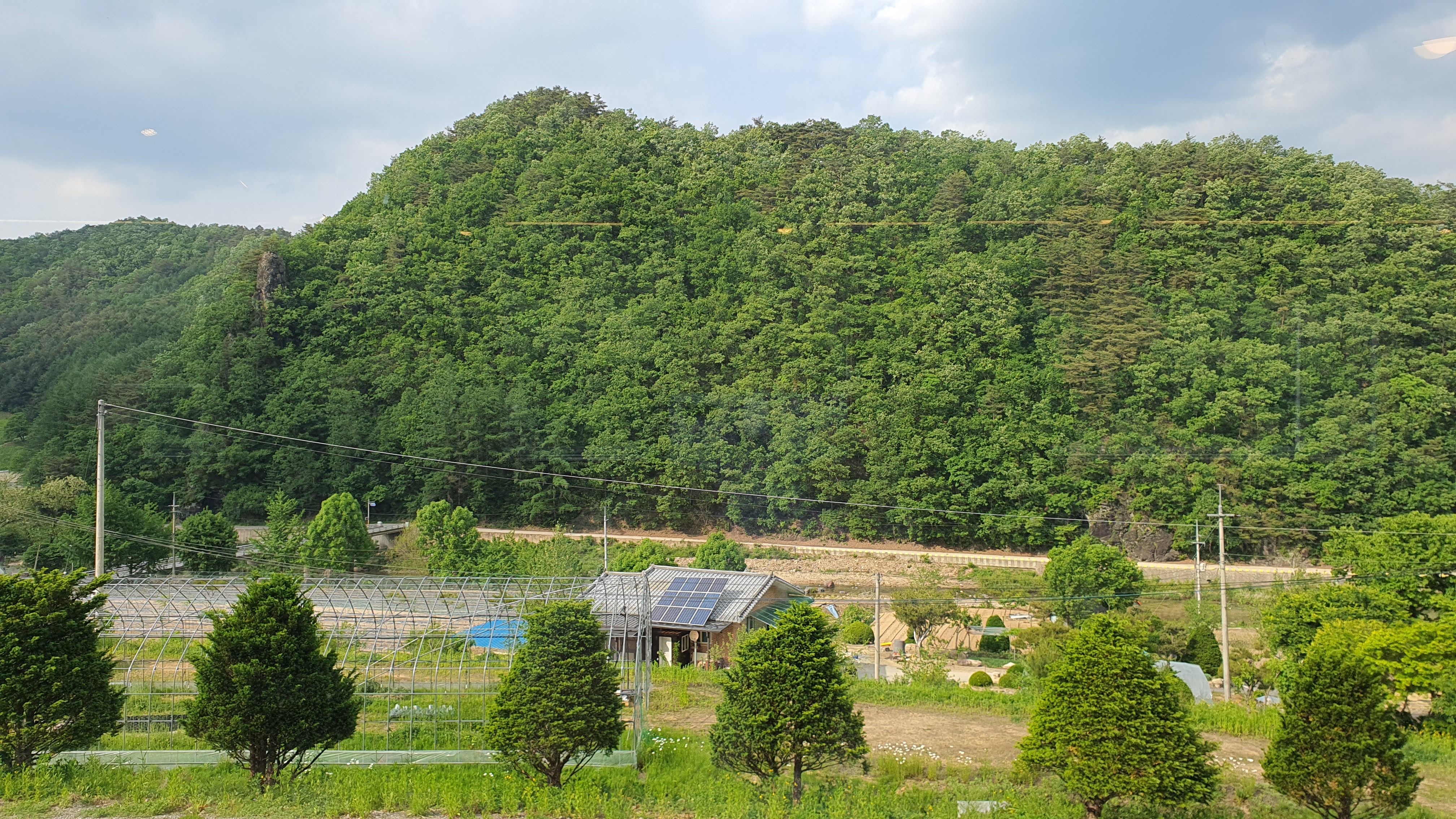 홍천-카페-추천-빛돌바람팜라운지-블루베리음식