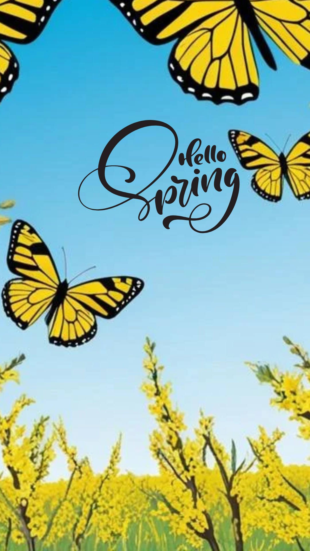 스마트폰 봄 계절 꽃 배경화면 사진 이미지 모음