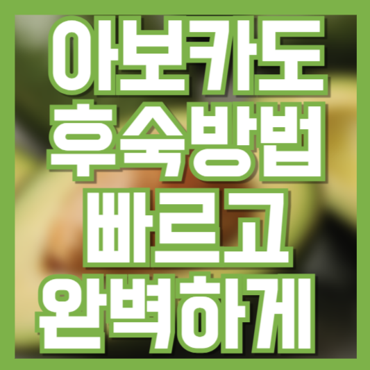 아보카도 후숙 방법 &ndash; 빠르고 완벽하게 익히는 법!