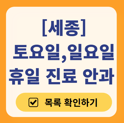세종 일요일 문 여는 안과 목록 ❘ 주말, 토요일, 공휴일 진료 영업 병원 찾기