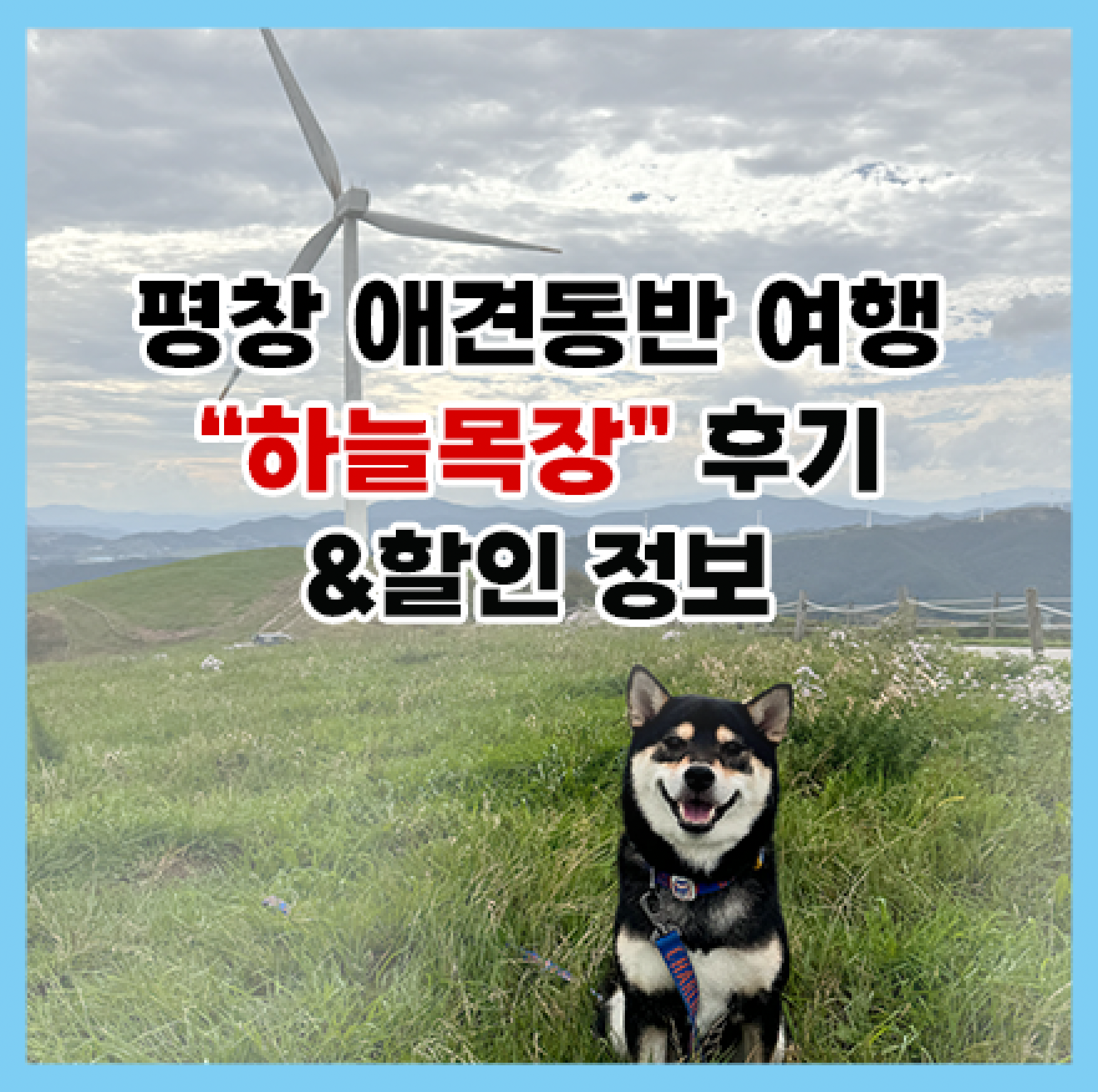 하늘목장