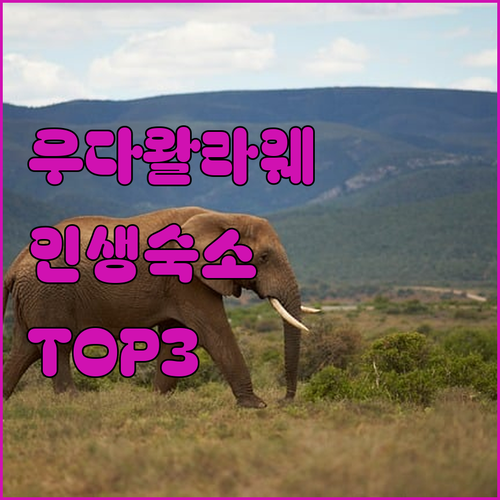 스리랑카 우다왈라웨 숙소 추천 TOP..